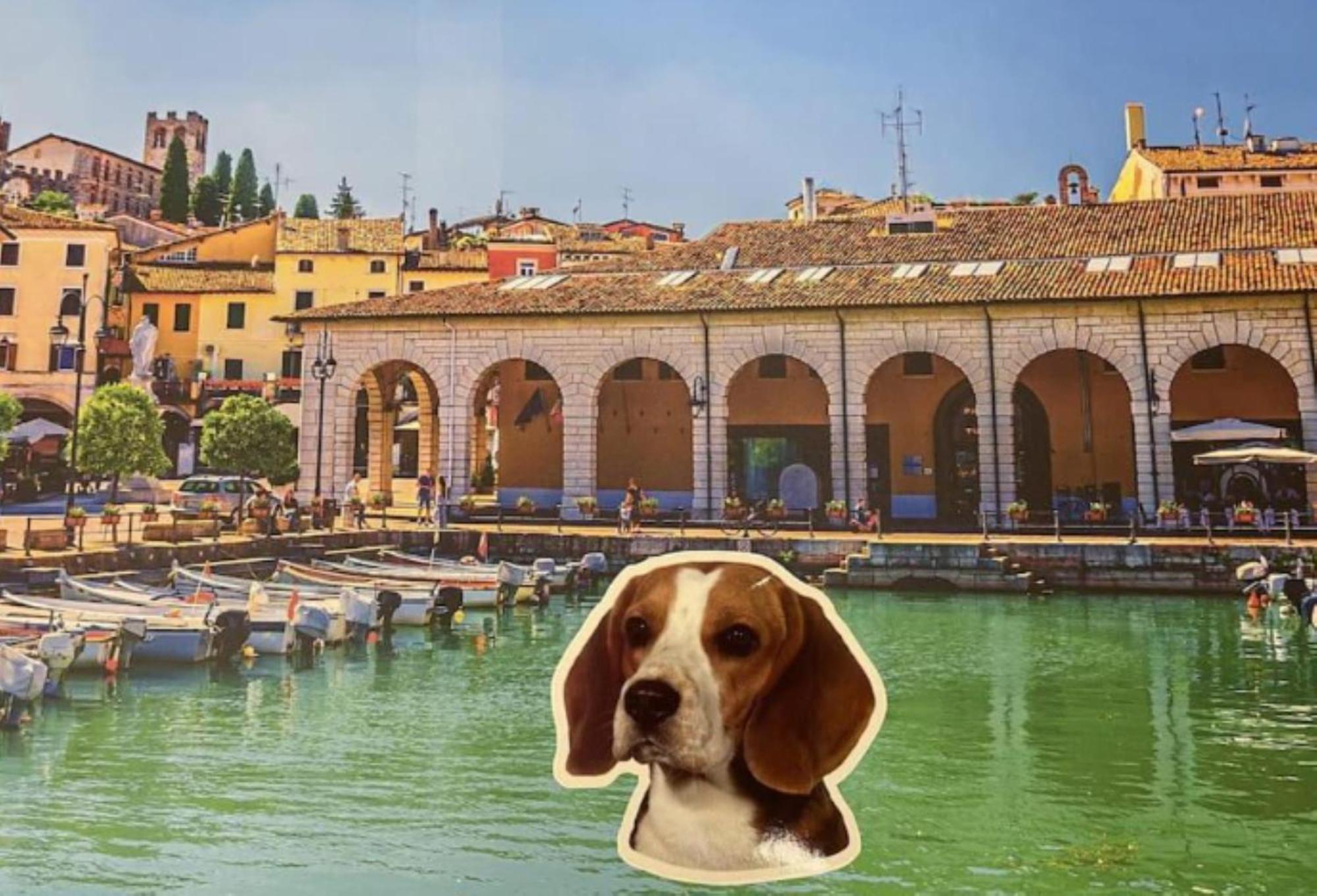 Appartamento DesenzanoLoft L'attico di Jack Desenzano del Garda Esterno foto